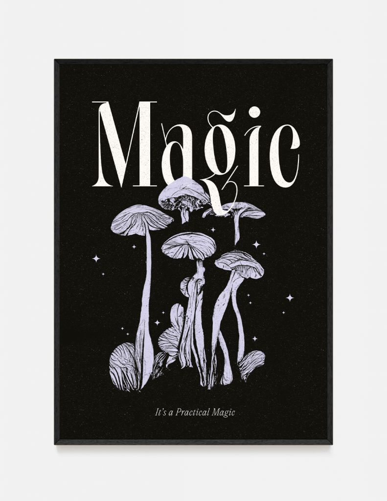 plakat PRACTICAL MAGIC