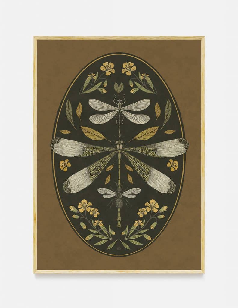 plakat DRAGONFLY