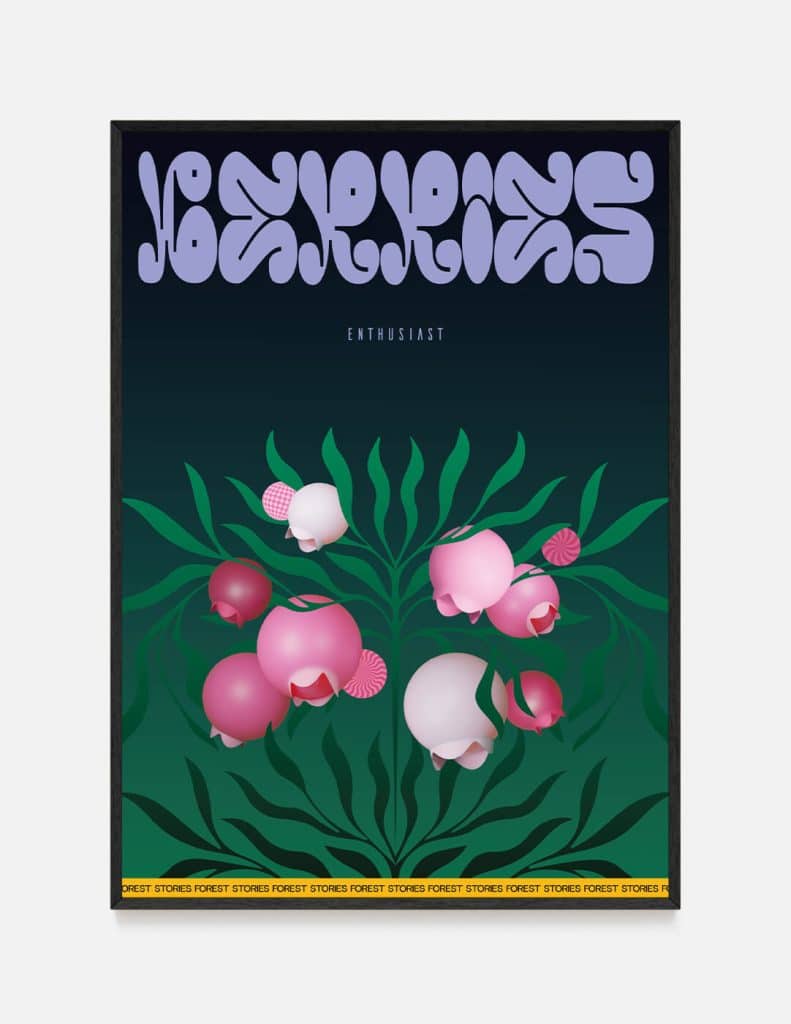 plakat NA JAGODY