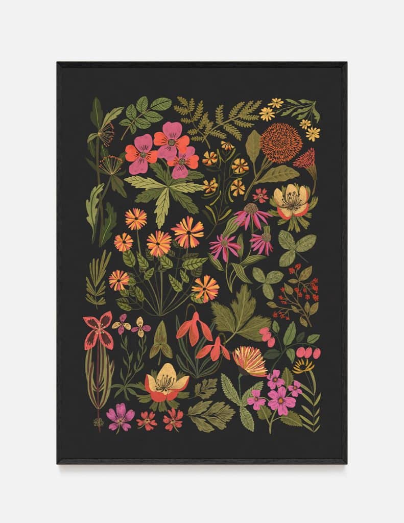 plakat WILD FLOWERS