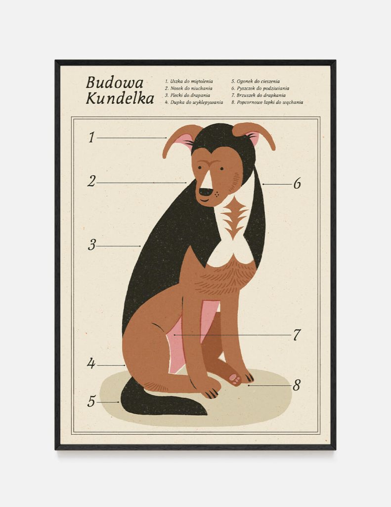 Plakat BUDOWA KUNDELKA 50×70 cm