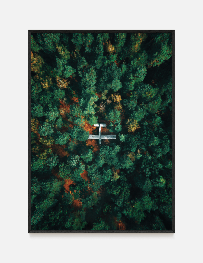 plakat SAMOLOT W LESIE