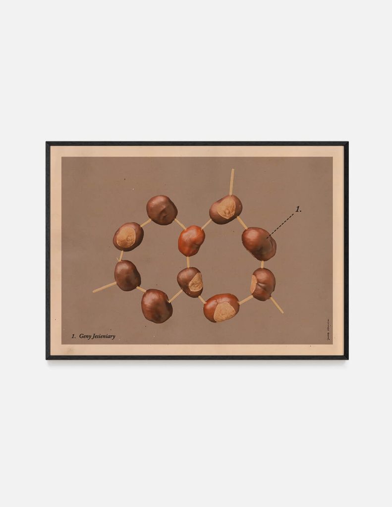 Plakat GENY