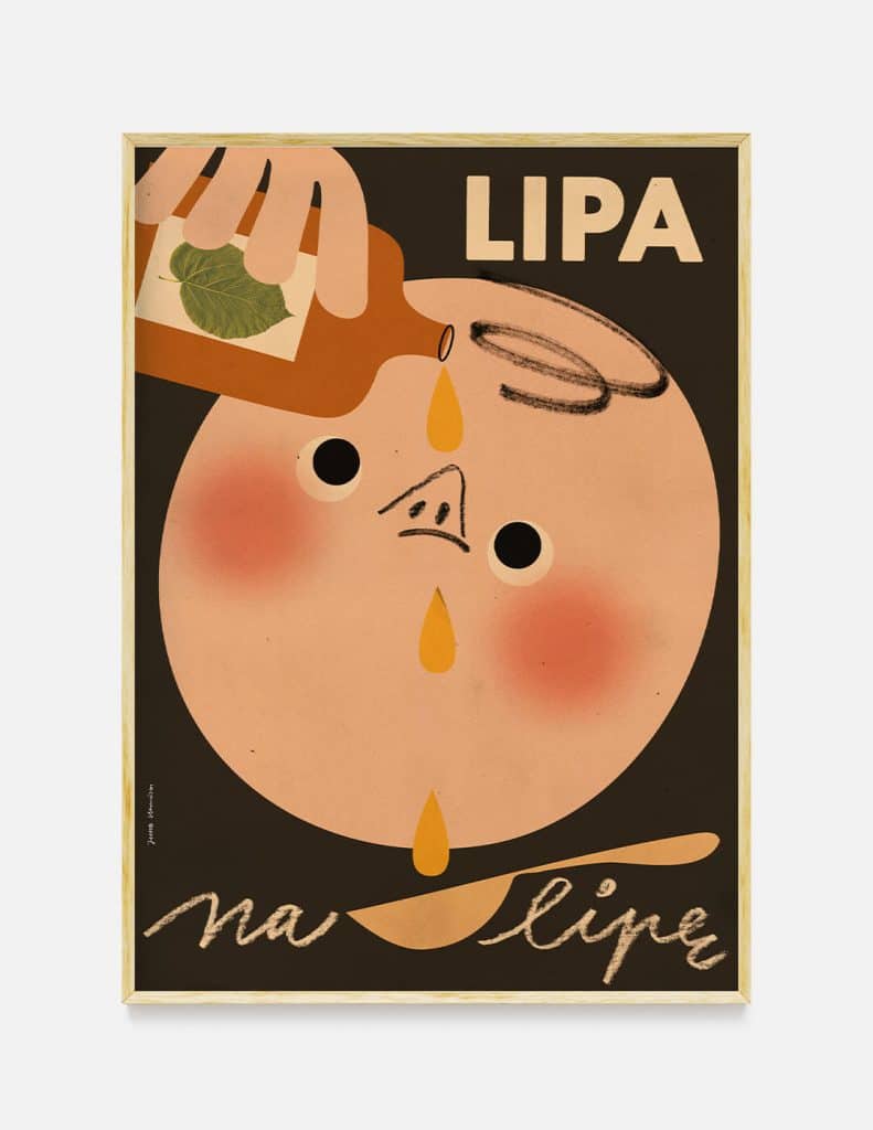 Plakat LIPA