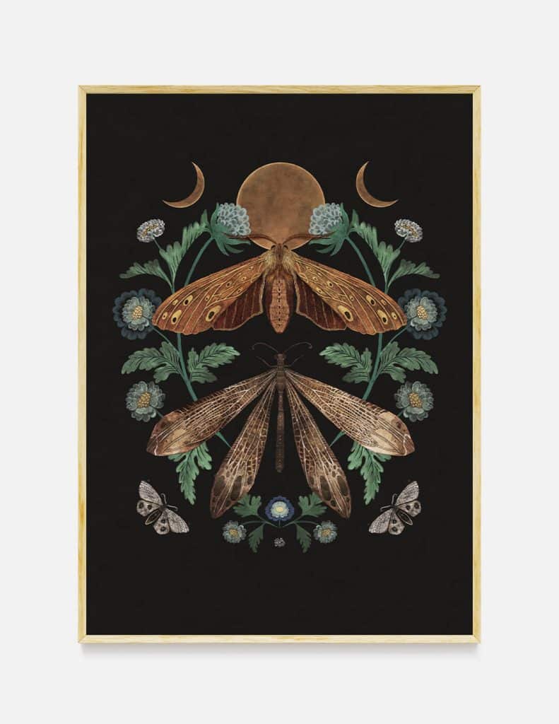 plakat MOTHS AND MOON