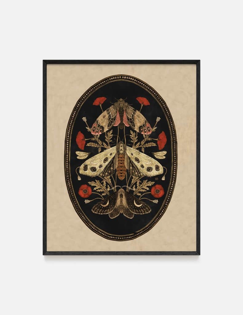 plakat MOTHS AND POPPY