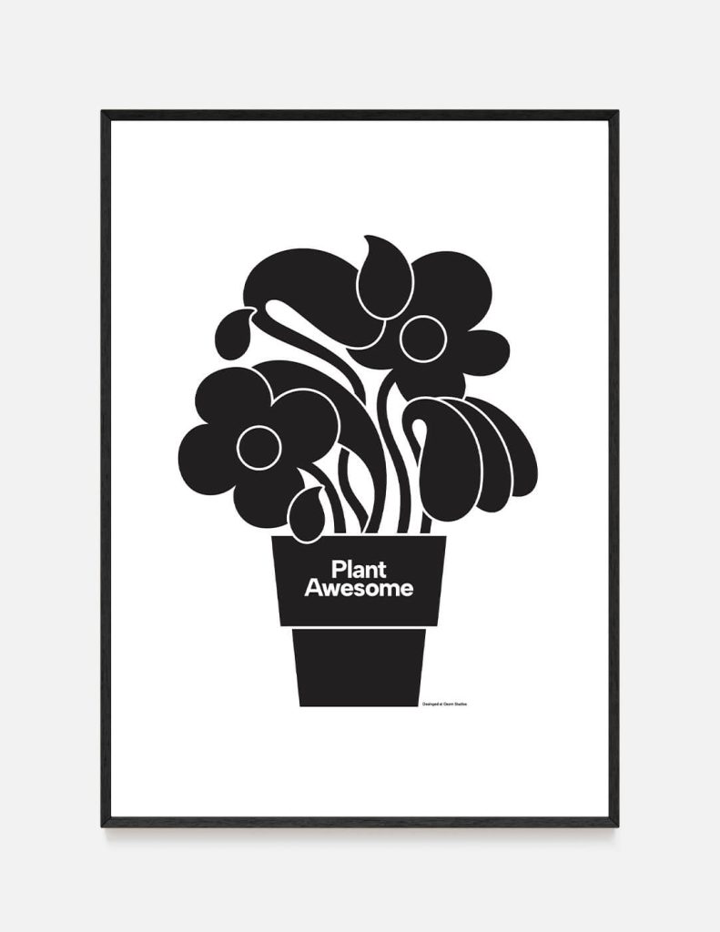plakat PLANT WHITE