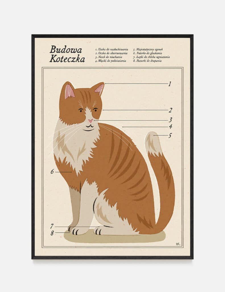 Plakat BUDOWA KOTECZKA