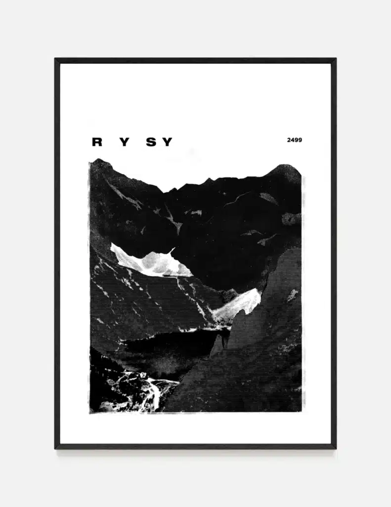 Plakat RYSY